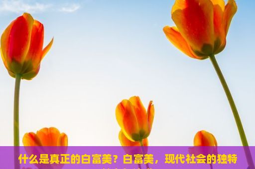 什么是真正的白富美？白富美，现代社会的独特魅力与追求