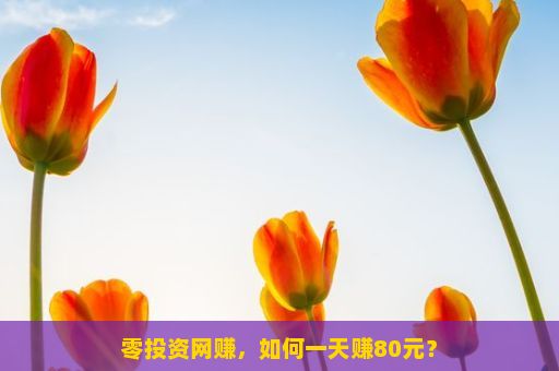 零投资网赚，如何一天赚80元？