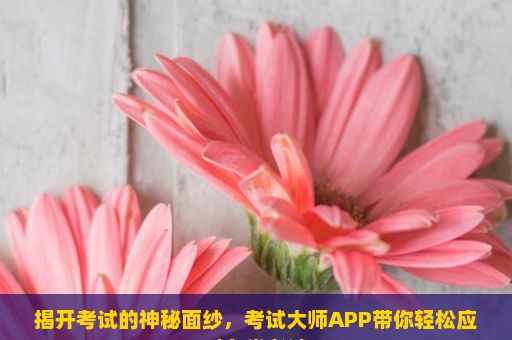 揭开考试的神秘面纱，考试大师APP带你轻松应对各类考试