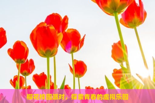 樱花校园派对，探索青春的虚拟乐园