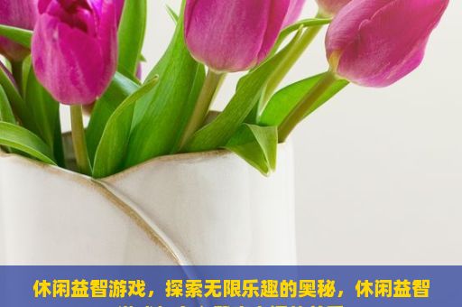 休闲益智游戏，探索无限乐趣的奥秘，休闲益智游戏与身心健康之间的关系