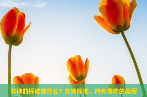 女神的标准是什么？女神标准，内外兼修的美丽定义