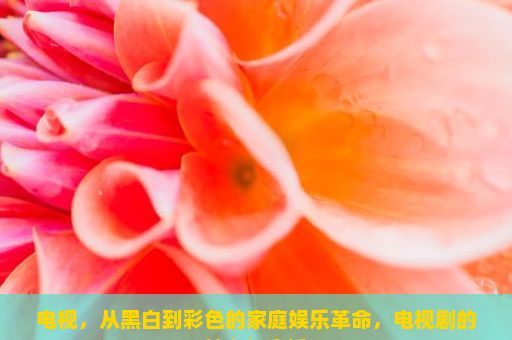 电视，从黑白到彩色的家庭娱乐革命，电视剧的魅力与变迁