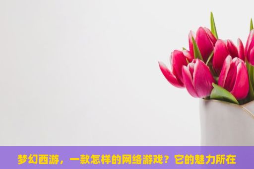 梦幻西游，一款怎样的网络游戏？它的魅力所在是什么？梦幻西游，重温经典，追寻梦幻之旅