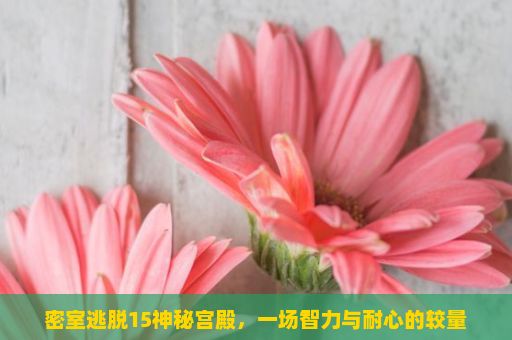 密室逃脱15神秘宫殿，一场智力与耐心的较量