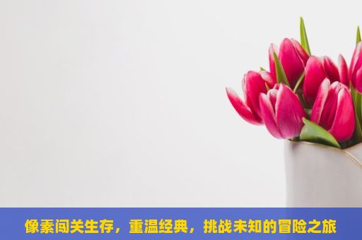 像素闯关生存，重温经典，挑战未知的冒险之旅，像素闯关生存游戏的挑战与乐趣