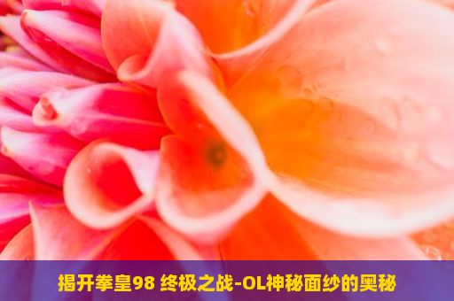 揭开拳皇98 终极之战-OL神秘面纱的奥秘