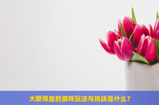 大眼保皇的游戏玩法与挑战是什么？