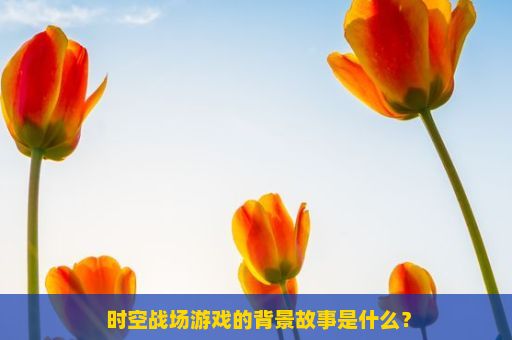  时空战场游戏的背景故事是什么？