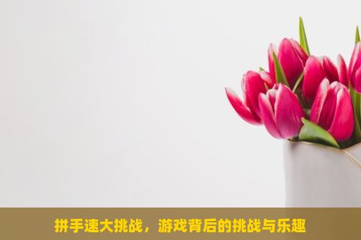 拼手速大挑战，游戏背后的挑战与乐趣