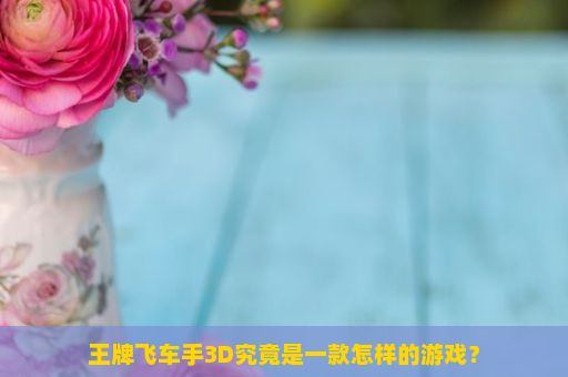 王牌飞车手3D究竟是一款怎样的游戏？