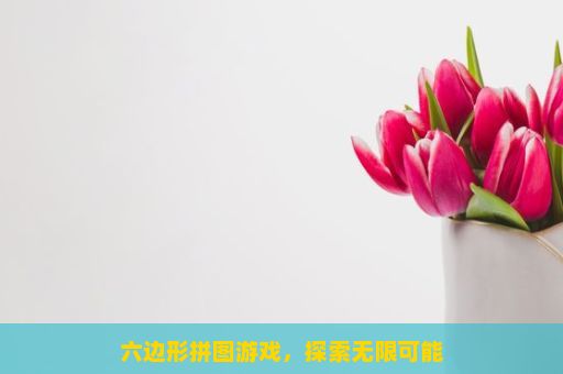 六边形拼图游戏，探索无限可能