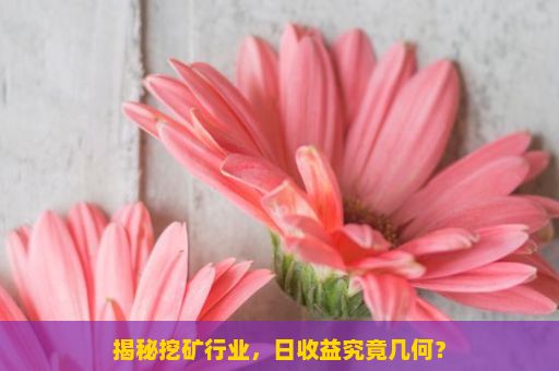 揭秘挖矿行业，日收益究竟几何？