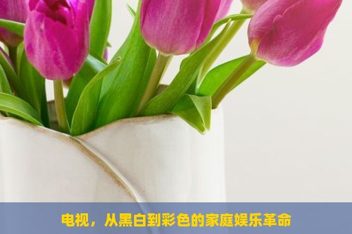 电视，从黑白到彩色的家庭娱乐革命