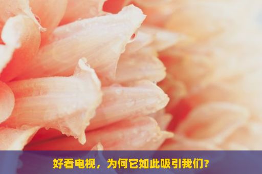 好看电视，为何它如此吸引我们？