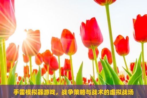 手雷模拟器游戏，战争策略与战术的虚拟战场