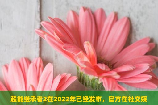 超能继承者2在2022年已经发布，官方在社交媒体上发布了游戏的新消息。超能继承者2是一款未来科幻动作冒险游戏，根据漫画和电影改编，讲述了一个宇宙中的生物找到他的家族遗产的故事。在游戏中，玩家将扮演超能力者的儿子，继承他父亲的战斗风格，打击犯罪分子，阻止外星人的入侵。该游戏将在iOS和Android平台上发布，并且拥有丰富的多人模式。