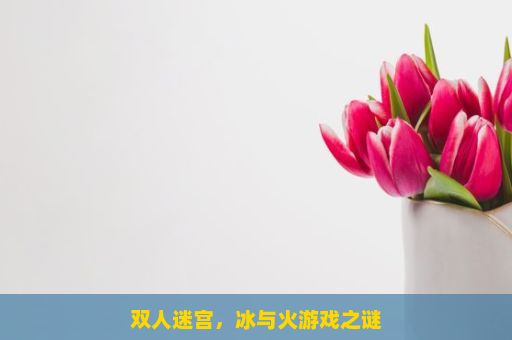 双人迷宫，冰与火游戏之谜