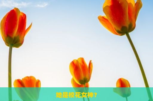 她是校花女神？