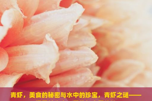 青虾，美食的秘密与水中的珍宝，青虾之谜——探寻其生态、习性与食用价值