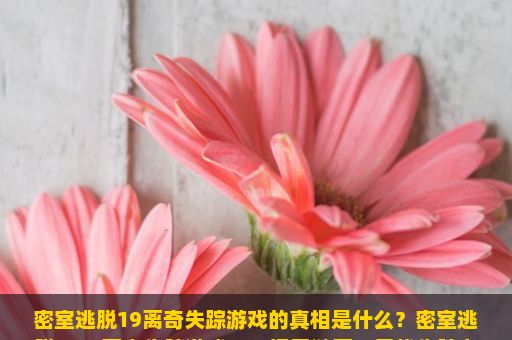 密室逃脱19离奇失踪游戏的真相是什么？密室逃脱19，离奇失踪游戏——揭开谜团，寻找失踪者的踪迹