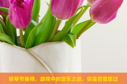 钢琴节奏师，游戏中的音乐之旅，你是否曾想过成为一名钢琴节奏师？