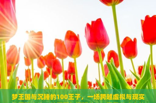 梦王国与沉睡的100王子，一场跨越虚拟与现实的冒险之旅，梦王国与沉睡的100王子游戏中的道德哲学探讨