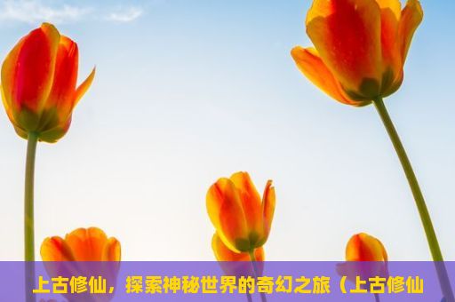 上古修仙，探索神秘世界的奇幻之旅（上古修仙游戏攻略，如何玩转修仙世界？）