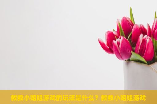 救救小姐姐游戏的玩法是什么？救救小姐姐游戏玩法详解