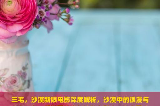 三毛，沙漠新娘电影深度解析，沙漠中的浪漫与真实，在一部描写沙漠新娘的电影中，你会喜欢这部电影吗？