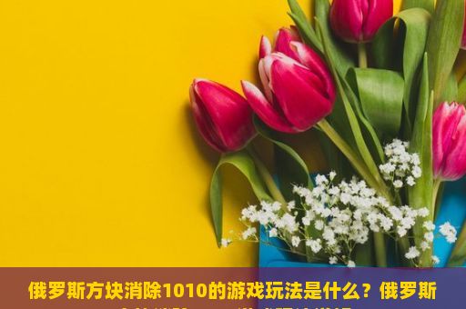 俄罗斯方块消除1010的游戏玩法是什么？俄罗斯方块消除1010游戏玩法详解