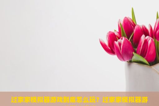 过家家模拟器游戏到底怎么玩？过家家模拟器游戏玩法详解