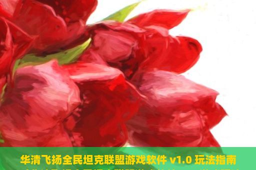 华清飞扬全民坦克联盟游戏软件 v1.0 玩法指南（华清飞扬全民坦克联盟游戏软件v1.0游戏玩法详解）