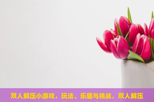 双人解压小游戏，玩法、乐趣与挑战，双人解压小游戏，轻松愉快的玩法指南