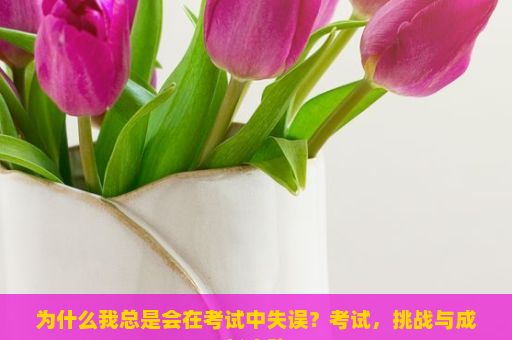 为什么我总是会在考试中失误？考试，挑战与成长之路