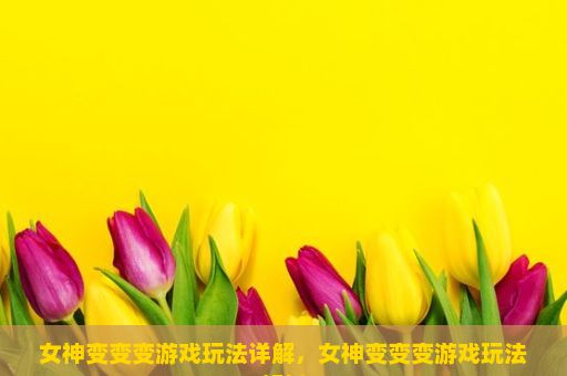 女神变变变游戏玩法详解，女神变变变游戏玩法解析