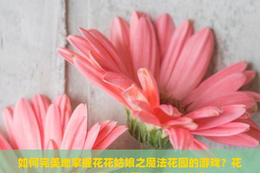 如何完美地掌握花花姑娘之魔法花园的游戏？花花姑娘之魔法花园游戏玩法详解