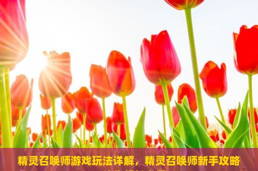 精灵召唤师游戏玩法详解，精灵召唤师新手攻略，让你轻松上手