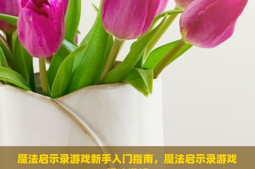 魔法启示录游戏新手入门指南，魔法启示录游戏玩法详解