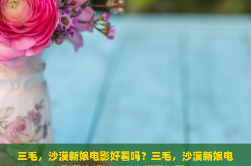 三毛，沙漠新娘电影好看吗？三毛，沙漠新娘电影深度解析，究竟好看与否？