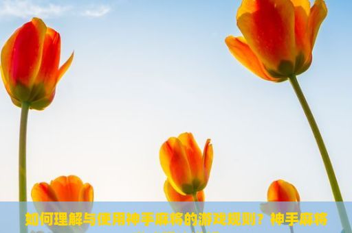 如何理解与使用神手麻将的游戏规则？神手麻将游戏玩法详解