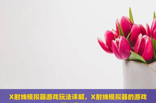 X射线模拟器游戏玩法详解，X射线模拟器的游戏玩法是什么？