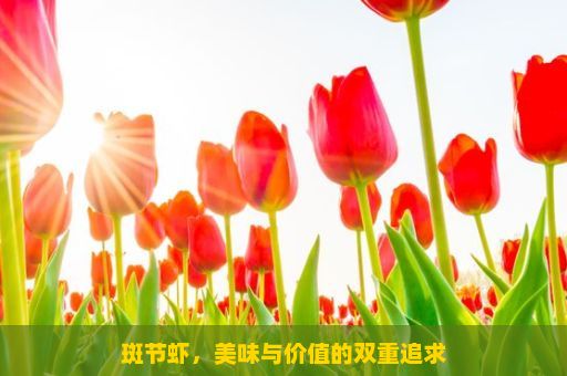 斑节虾，美味与价值的双重追求