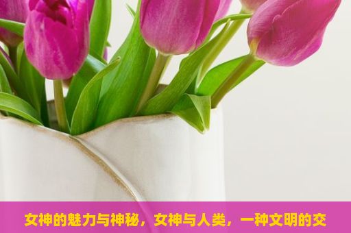 女神的魅力与神秘，女神与人类，一种文明的交织？