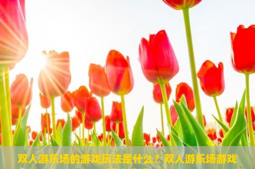 双人游乐场的游戏玩法是什么？双人游乐场游戏玩法详解