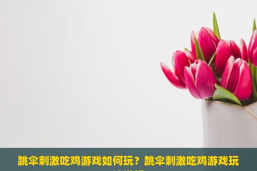 跳伞刺激吃鸡游戏如何玩？跳伞刺激吃鸡游戏玩法详解