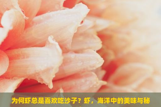 为何虾总是喜欢吃沙子？虾，海洋中的美味与秘密