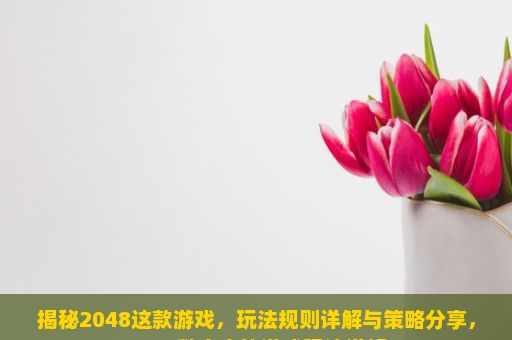 揭秘2048这款游戏，玩法规则详解与策略分享，2048数字方块游戏玩法详解