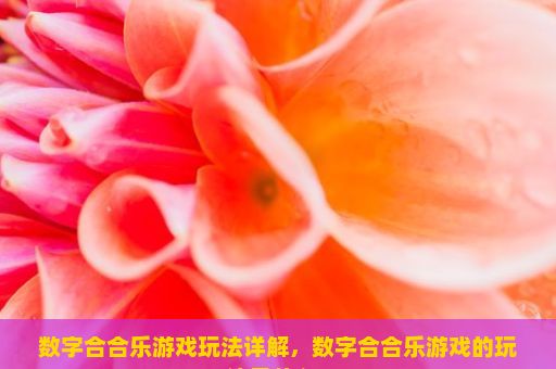 数字合合乐游戏玩法详解，数字合合乐游戏的玩法是什么？