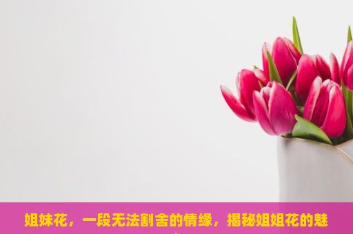 姐妹花，一段无法割舍的情缘，揭秘姐姐花的魅力